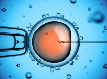 fda-three-parent-embryo-insemination-537x402